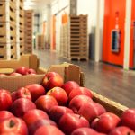 What Is FSVP? A Guide for Food Importers on FDA Compliance