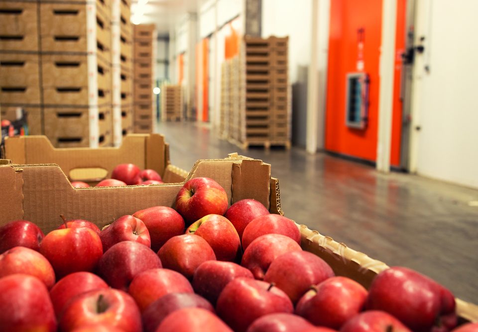 What Is FSVP? A Guide for Food Importers on FDA Compliance